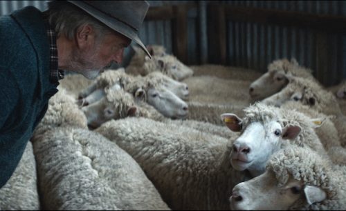 Besser wird’s nicht 01