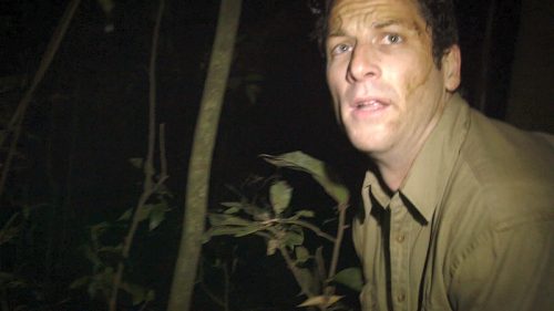 The Jungle